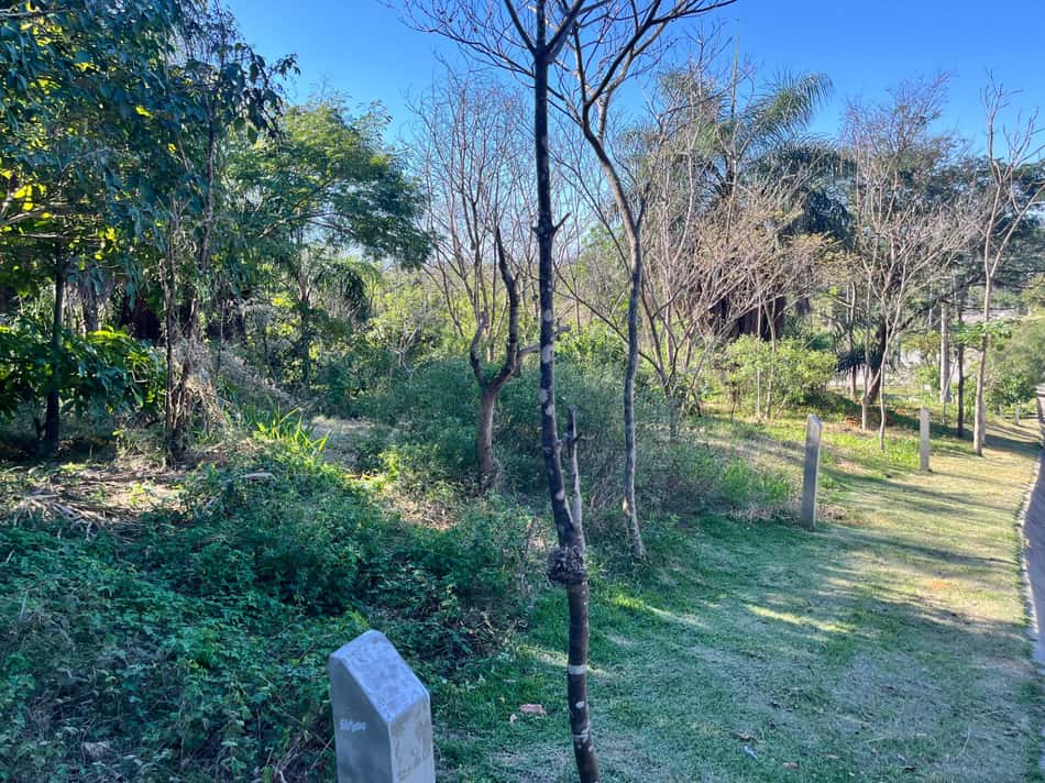 Com placas apagadas, a situação da Floresta dos Atletas em 2026