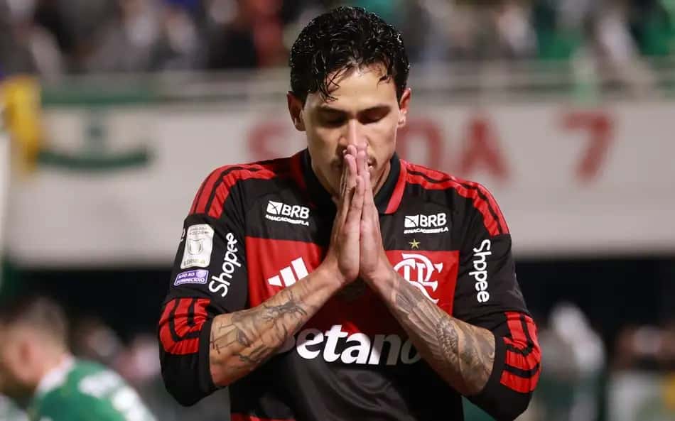 Pedro comemora gol pelo Flamengo contra a Chapecoense no Brasileirão (Foto: Rafael Diego/Agencia Enquadrar/Folhapress)