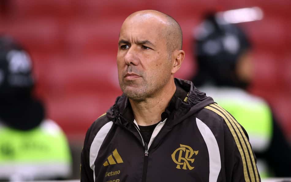 Jardim em Flamengo x Internacional no Beira-Rio
