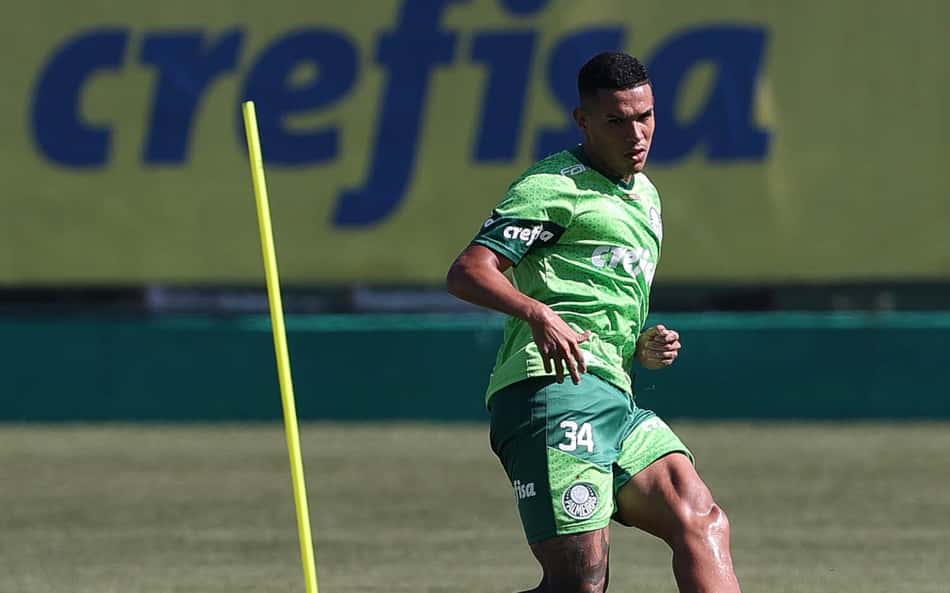 Naves Palmeiras