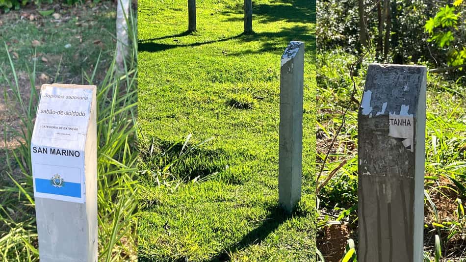 Placas de identificação na Floresta dos Atletas, no Parque Radical de Deodoro