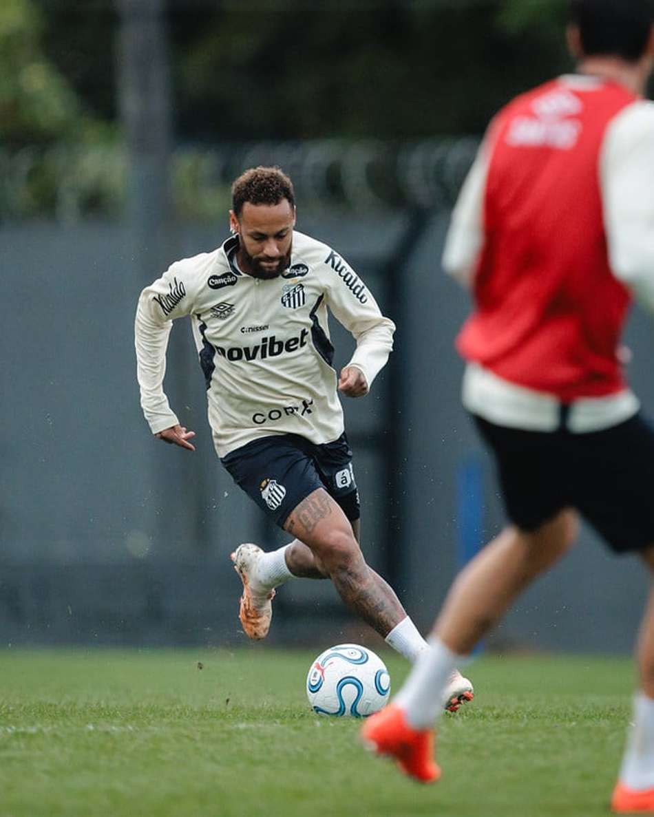 Neymar tem contrato com o Santos até o final do ano. (Foto: Raul Baretta/ Santos FC)