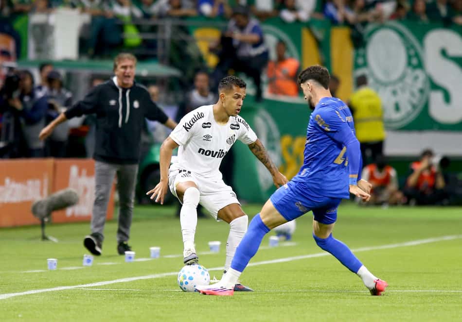 Jogadores do Palmeiras e Santos e dividida