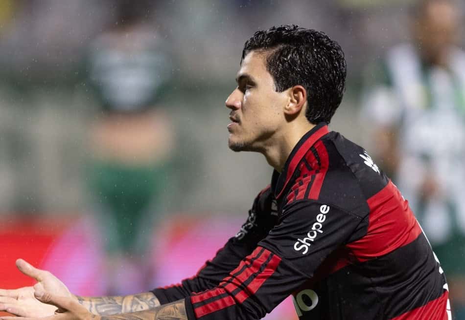 Pedro comemora gol pelo Flamengo contra a Chapecoense no Brasileirão