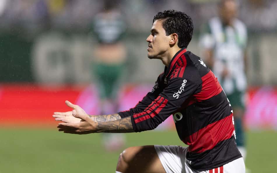 Pedro comemora gol pelo Flamengo contra a Chapecoense no Brasileirão