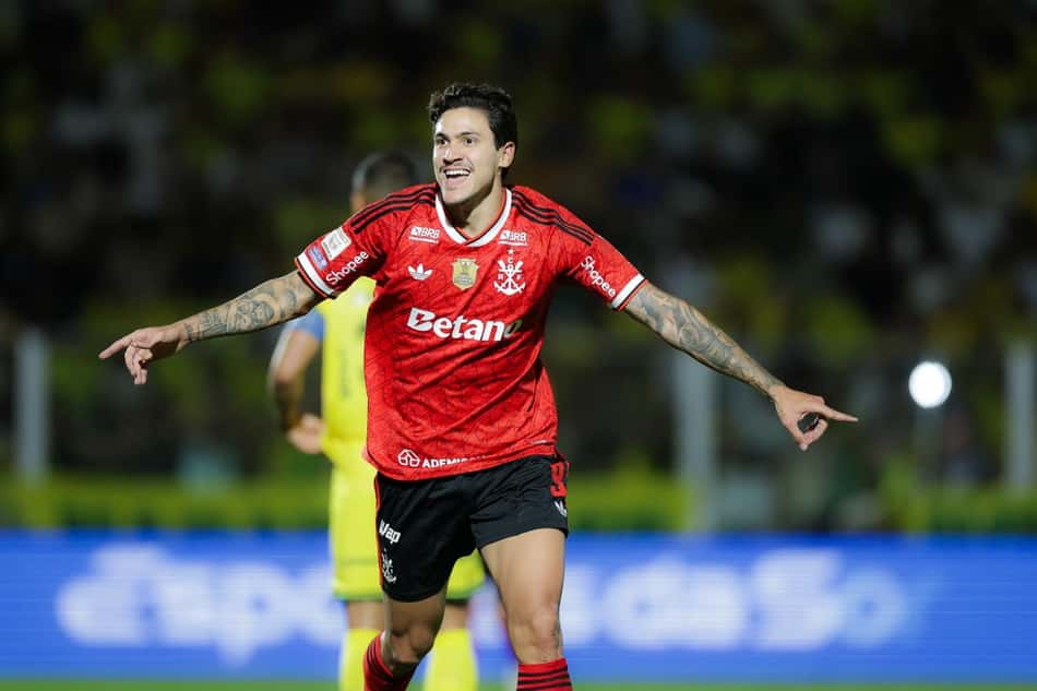 Pedro comemora o gol marcado pelo Flamengo na vitória sobre o Mirassol pelo Brasileirão
