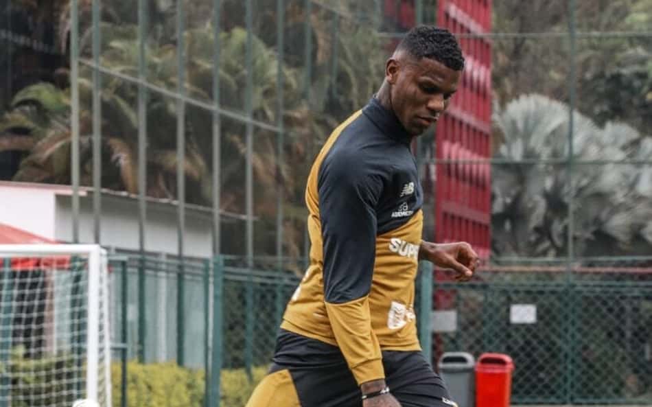 arboleda em campo