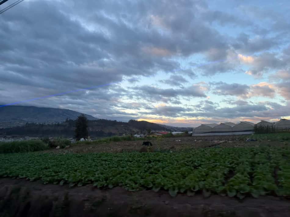 Área agrícola próxima ao centro de treinamento do Ambato, utilizado pelo Santos. (Foto: Juliana Yamaoka/ Lance!)