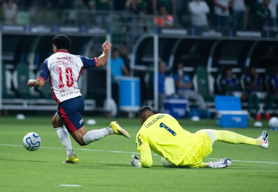 Libertadores 2026 - Palmeiras e Cerro Porteño