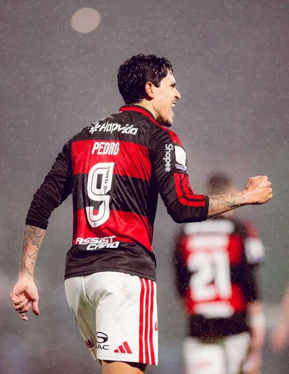 Pedro comemora gol pelo Flamengo em partida contra a Chapecoense pelo Brasileirão