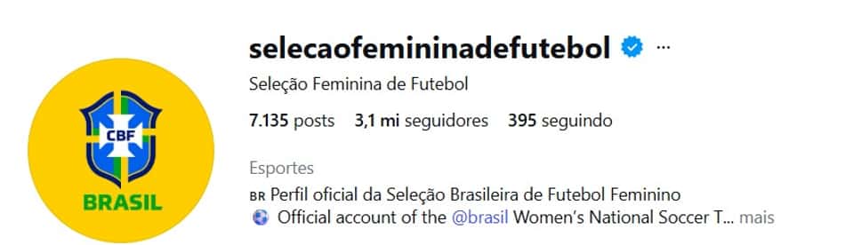 Print do instagram da Seleção Feminina Brasileira com número de seguidores