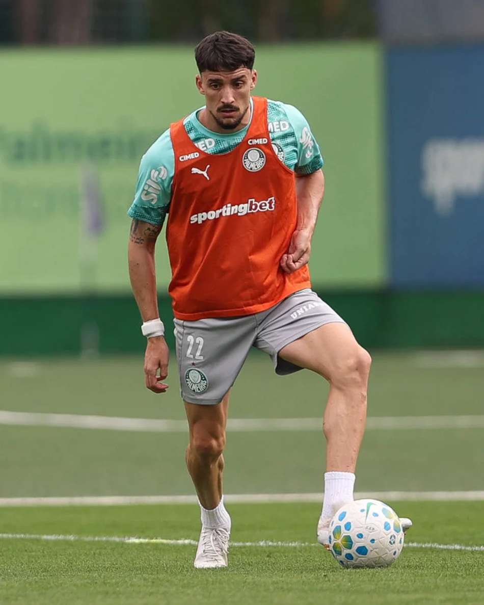 Piquerez - Palmeiras