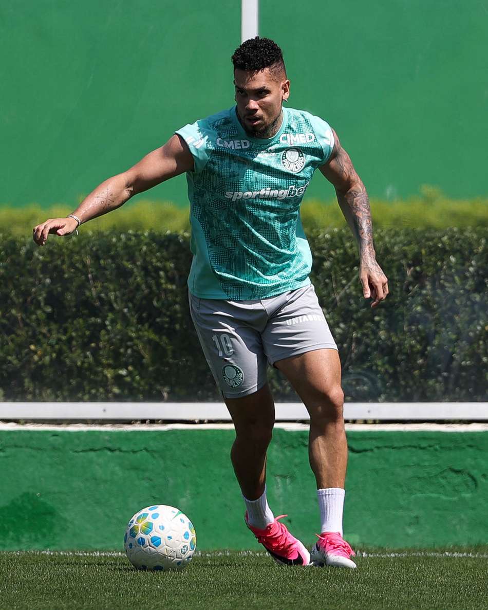 Paulinho foi ao gramado no treino do Palmeiras neste sábado (26)