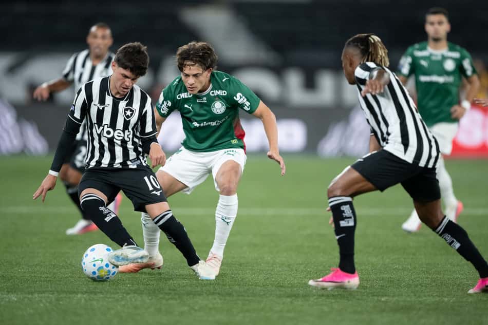 Botafogo e Palmeiras no Estádio Nilton Santos