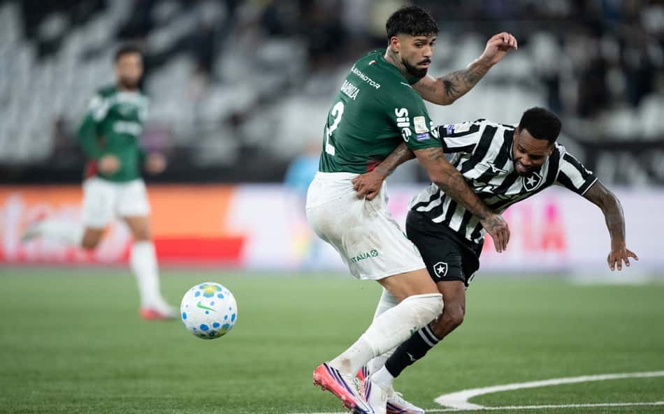 Botafogo e Palmeiras empataram por 0 a 0