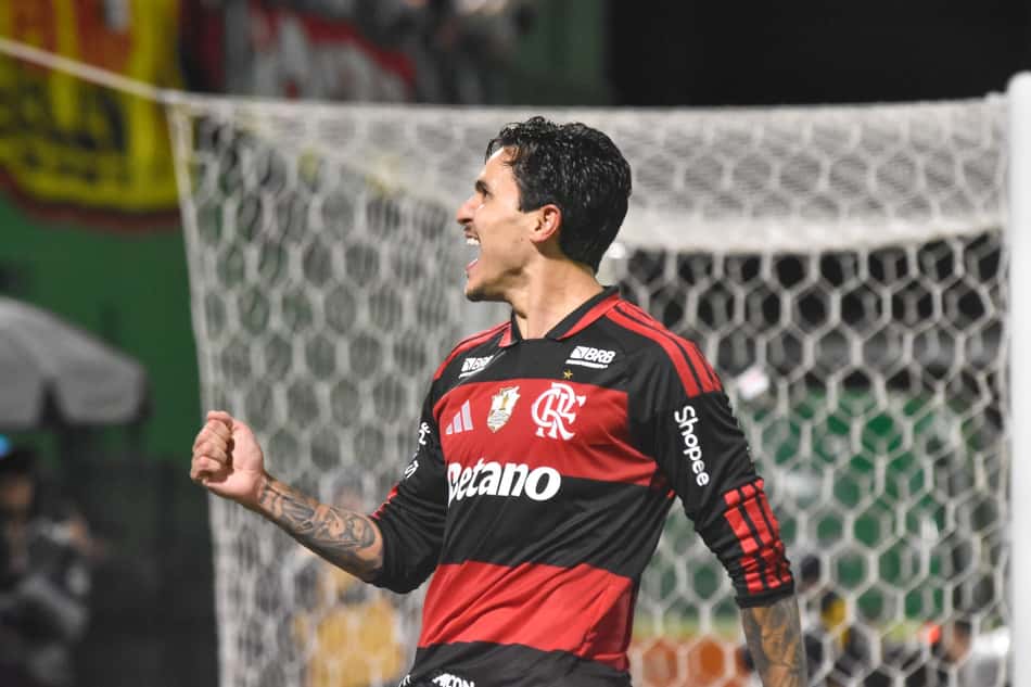 Pedro comemora gol do Flamengo no Brasileirão