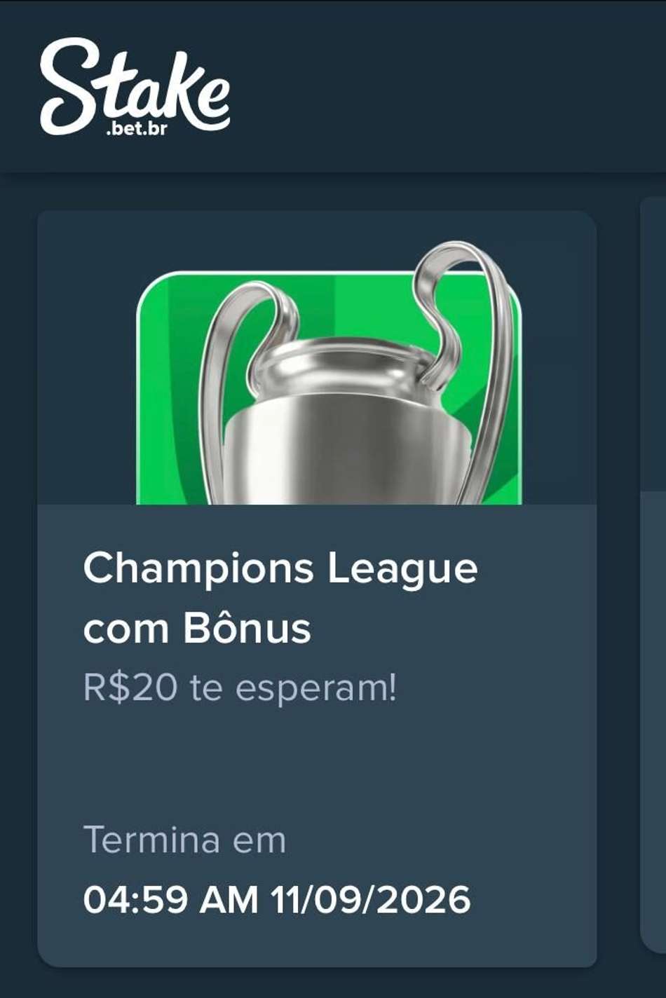 Captura de tela da campanha com bônus na Libertadores ou Champions League na Stake.