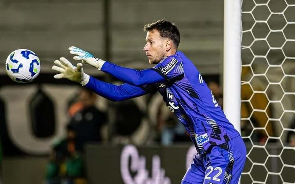 Neto é o novo goleiro do Botafogo (Foto: Vítor Silva/Botafogo)