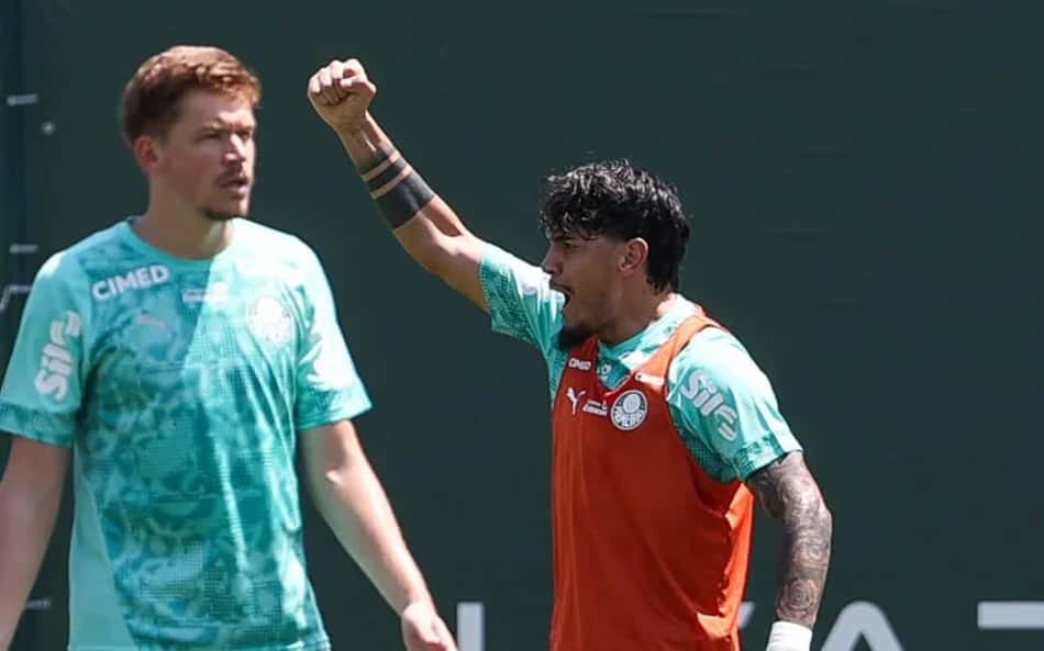 Gómez - Palmeiras