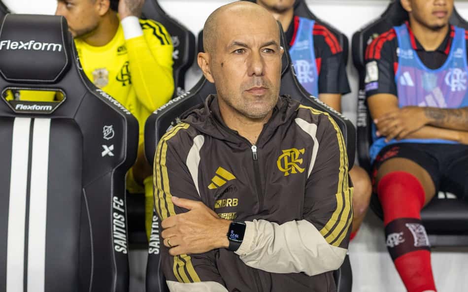 Leonardo Jardim em Santos e Flamengo, pelo Campeonato Brasileiro