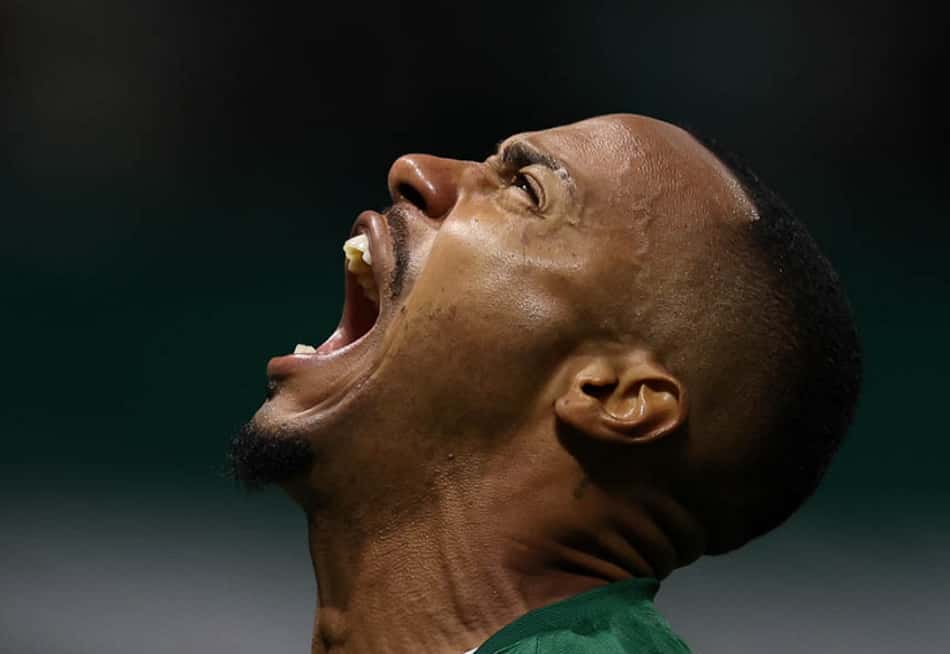 Palmeiras enfrentará o Estudiantes na final da Libertadores; veja data e local