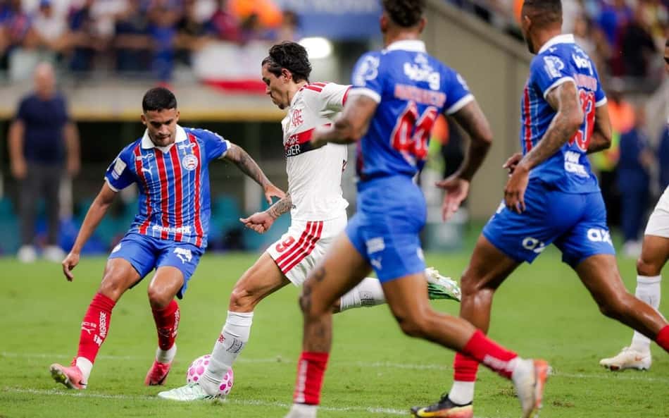 Pedro Flamengo