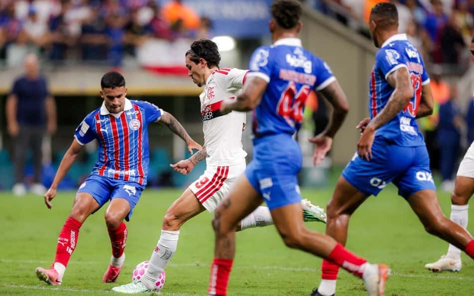 Pedro Flamengo
