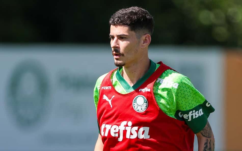 Rômulo Palmeiras pode ser inscrito na Libertadores