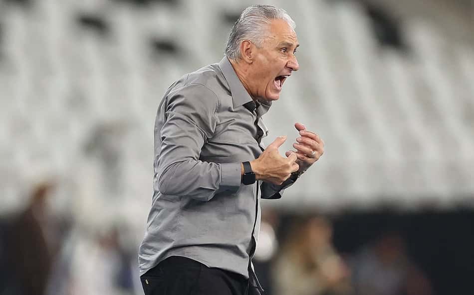 Tite grita no triunfo do Botafogo sobre a Chapecoense.