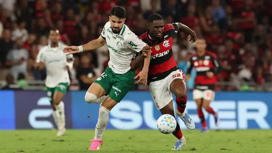 Palmeiras está atrás do Flamengo na tabela