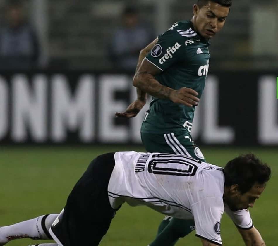 Colo-Colo x Palmeiras (Cesar Greco/Palmeiras)