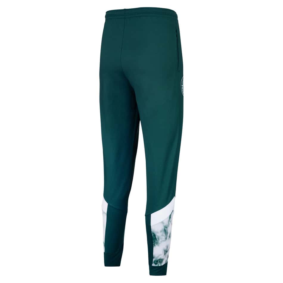 linha Palmeiras Iconic