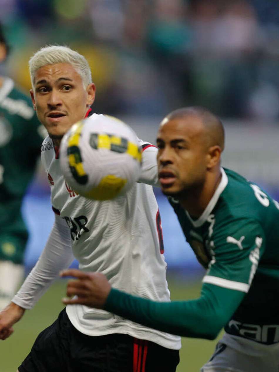 pedro flamengo palmeiras
