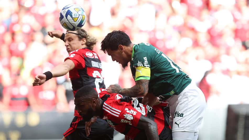 palmeiras-flamengo