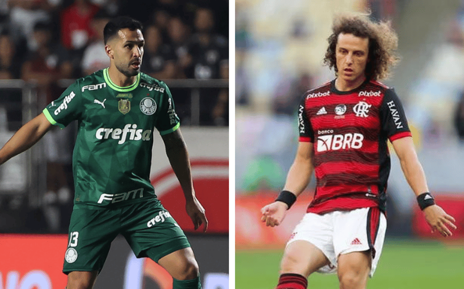 palmeiras-flamengo