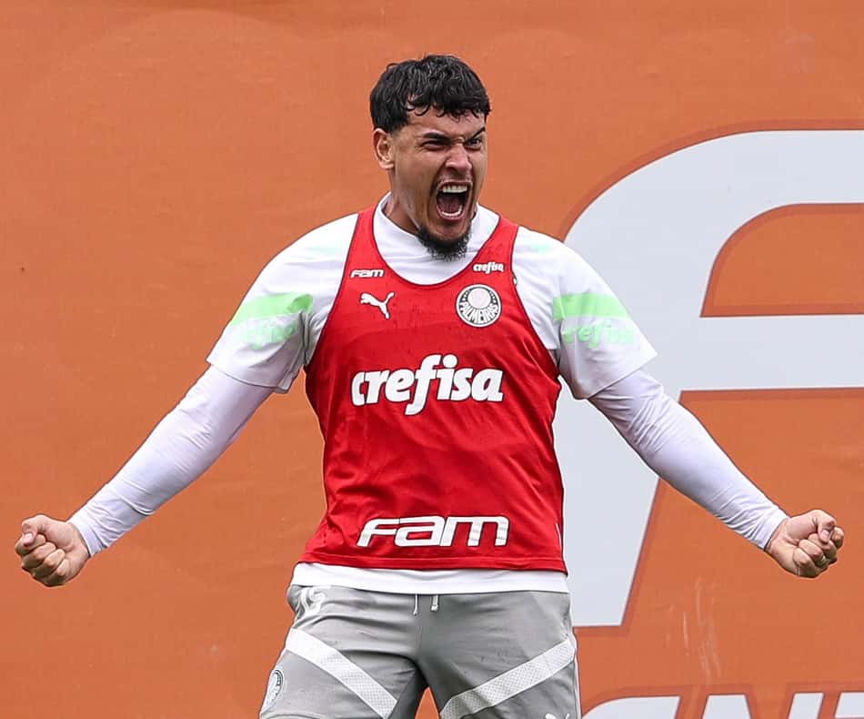 Gustavo Gómez