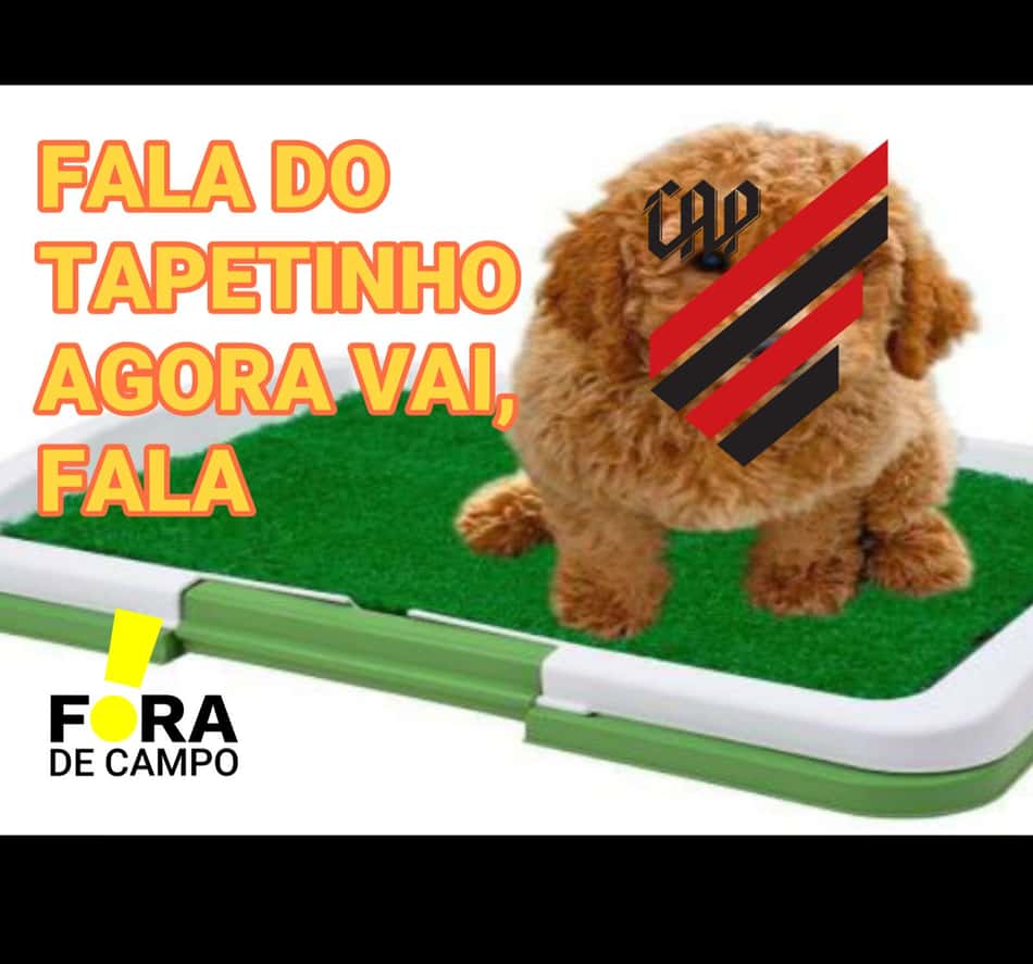 Saudades do Allianz, Palmeiras? Veja os melhores memes da rodada no final de semana!