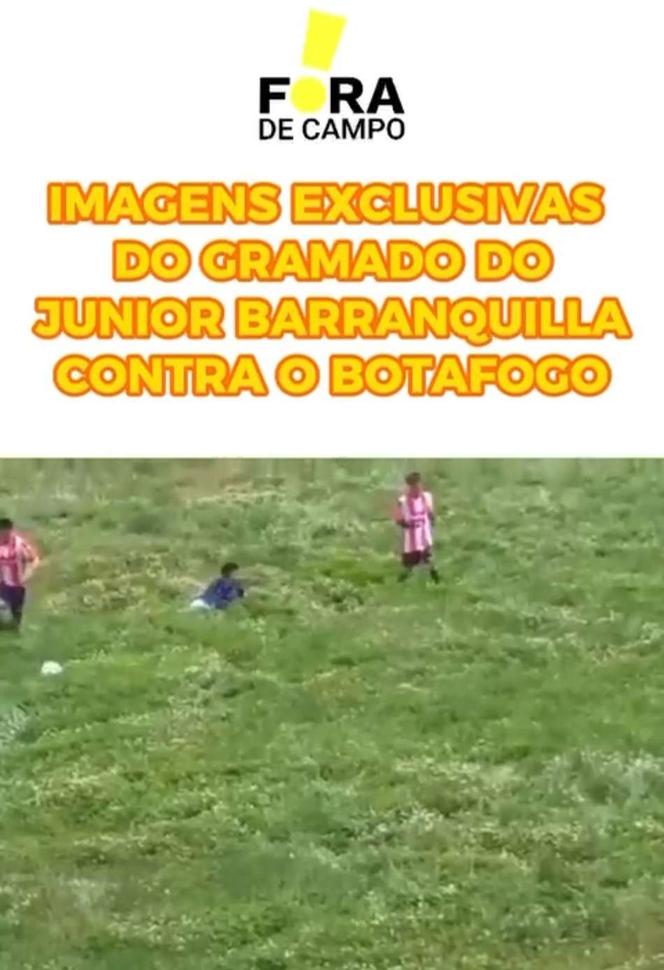 Show dos Tricolores, Corinthians nato… Veja os melhores memes dessa rodada da Sul-Americana e da Libertadores