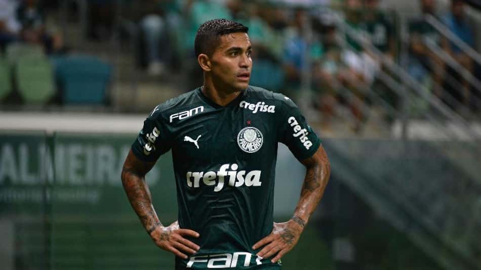 palmeiras