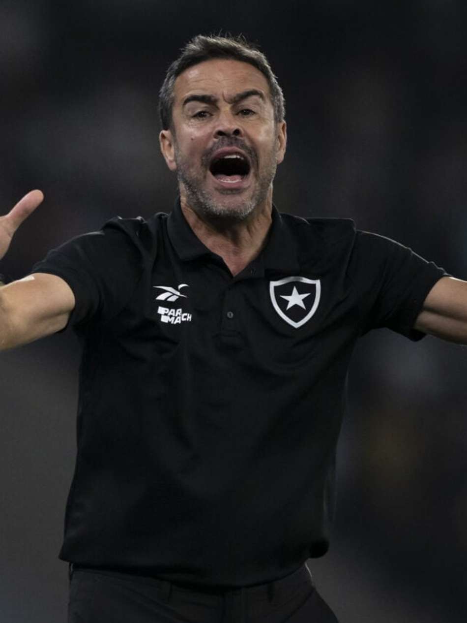 artur jorge - BRASILEIRO A 2024, BOTAFOGO x PALMEIRAS