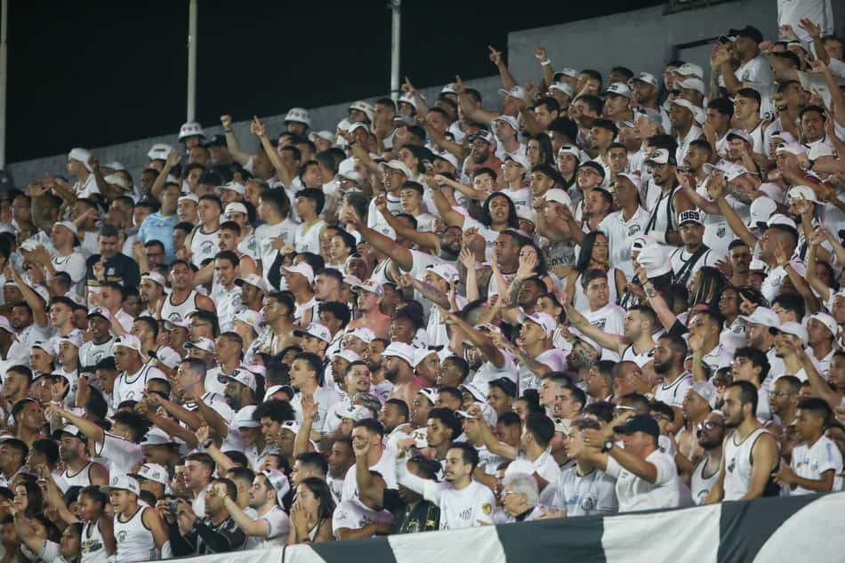 Torcida do Santos comemora o gol sobre o Novorizontino. Foto: Reinaldo Campos/AGIF