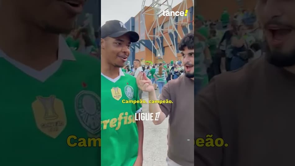 EM QUAL POSIÇÃO O PALMEIRAS FICARIA NAS PRINCIPAIS LIGAS DO MUNDO? #palmeiras #futebol #brasil #fyp