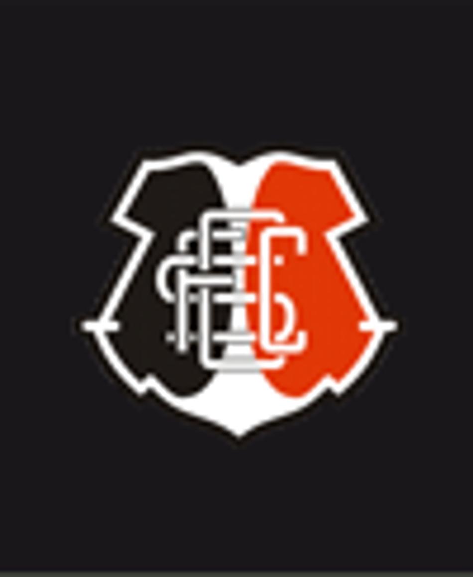 Série B: Santa Cruz vence o Criciúma e mantém acesa chama do acesso