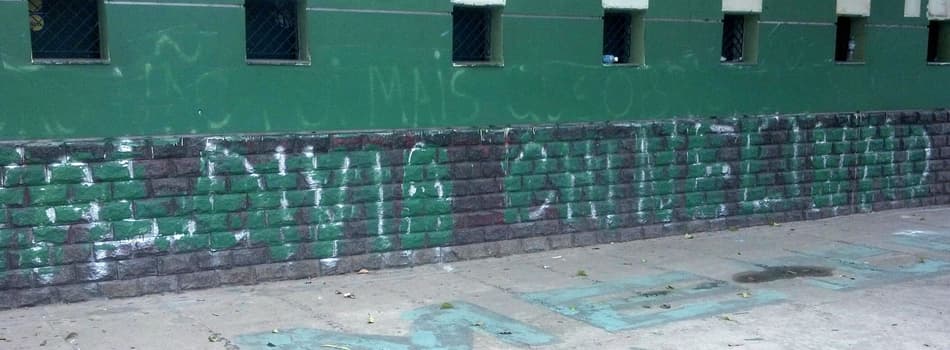Palestra pichado (Foto: Thiago Ferri)