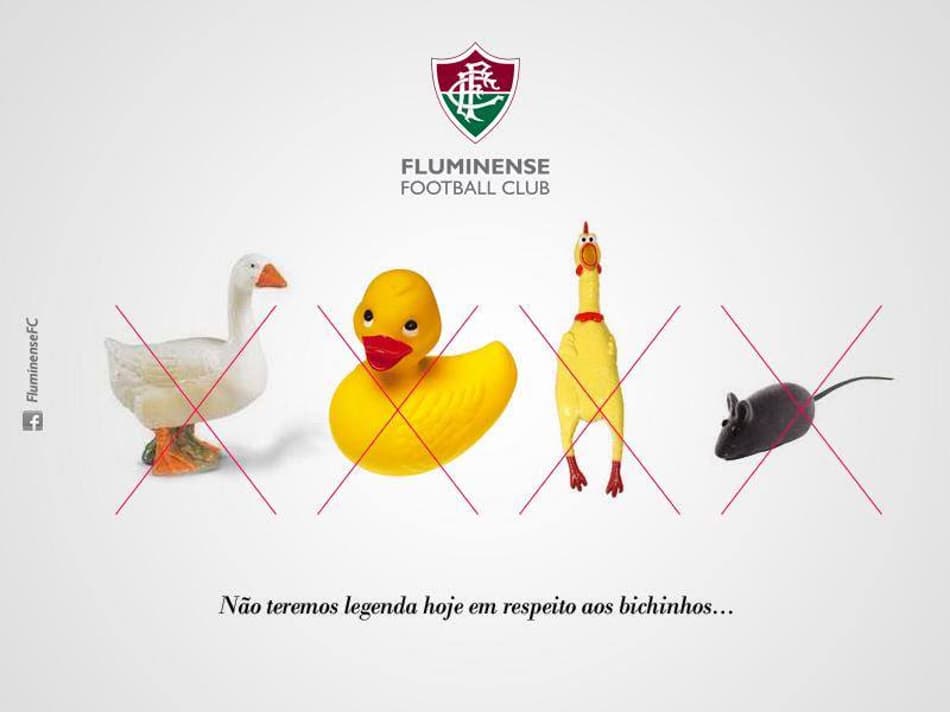 Fluminense (Foto: Divulgação)