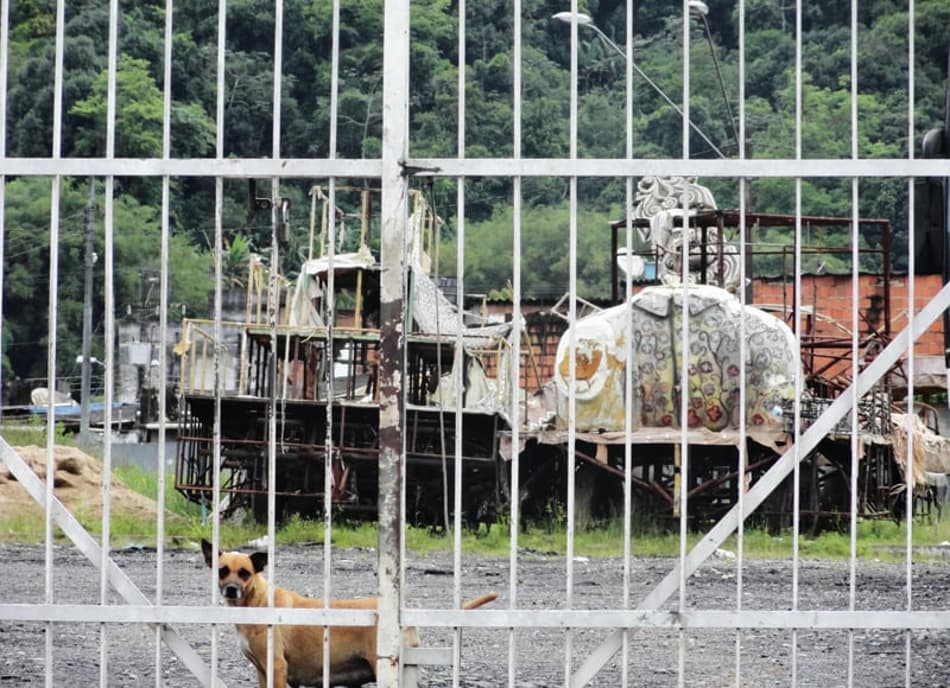 CT Meninos da Vila (Foto: Bruno Giufrida)