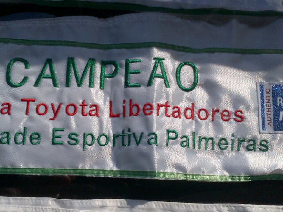 Alex homenageia Libertadores do Palmeiras pelo Twitter