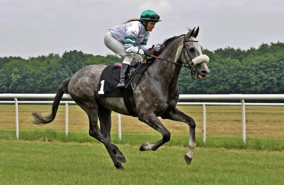 Joqueta alemã morre após queda em prova no Jockey Club de São Paulo