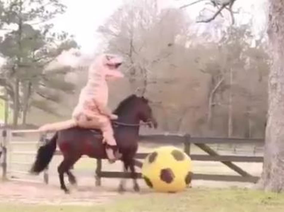 Fora de Campo! Fantasiado, Asprilla ensina cavalo a jogar futebol