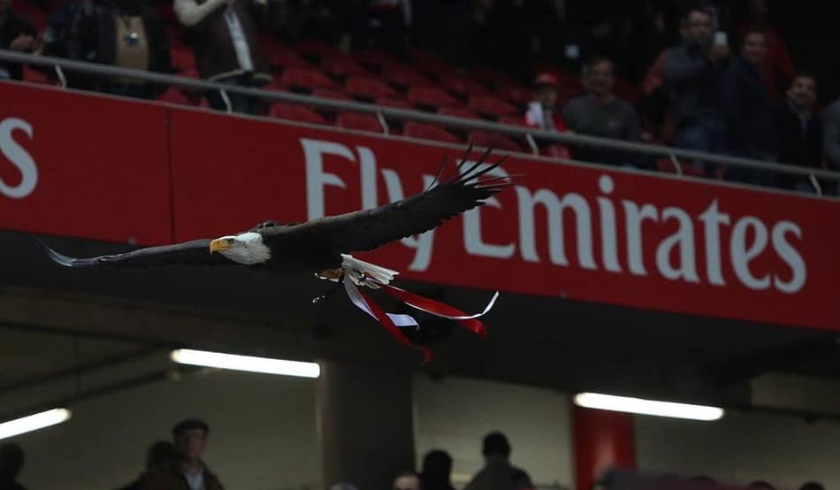 Futebol na Terrinha: Tradicional águia do Benfica foge do protocolo e 'vai ver' o jogo da arquibancada